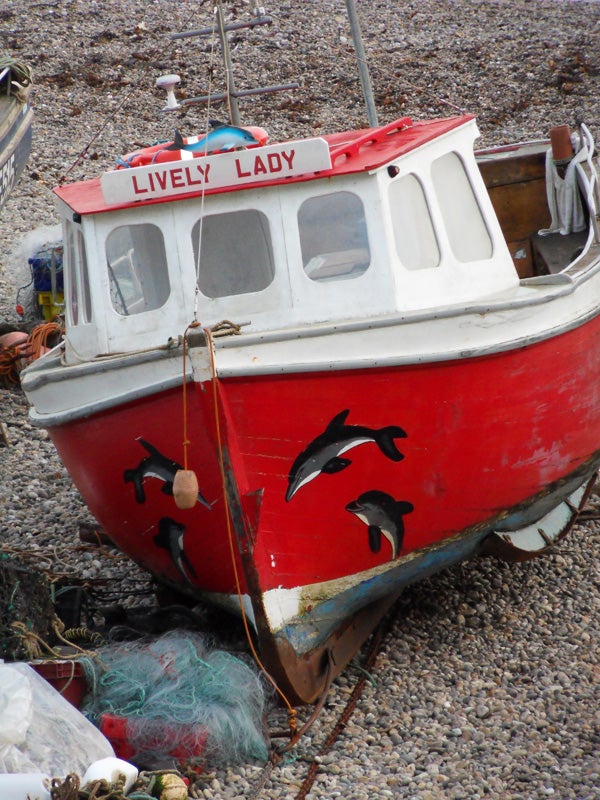 Red boat named Lively Lady with dolphin illustrations.