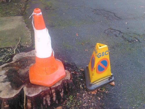 Traffic cone and warning sign next to tree stump on pavement.
