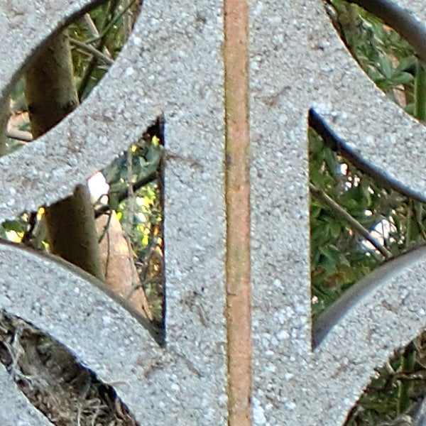 Close-up of foliage through decorative cement block.