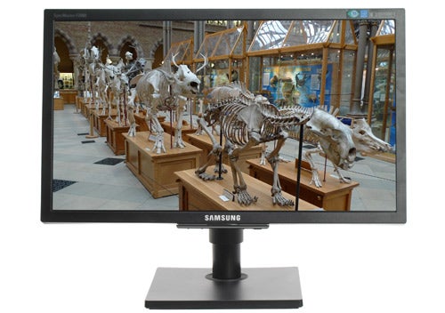Samsung SyncMaster F2080 LCD Monitor displaying skeleton exhibits.