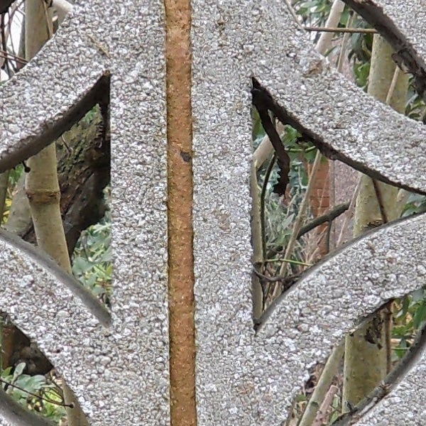 Close-up of intricate metalwork with moss growth.