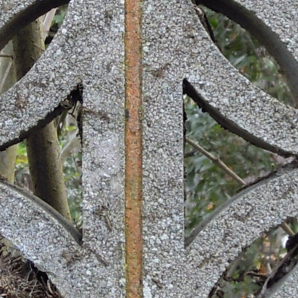 Close-up of a rusty metal wheel with lichen growth