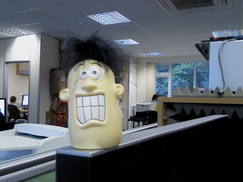 Novelty stress toy on an office desk.