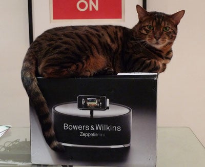 Cat sitting on a Bowers & Wilkins Zeppelin Mini box.