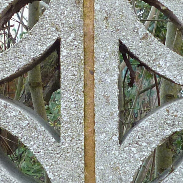 Close-up of a patterned object with foliage in the background.