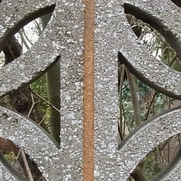 Photo captured by Ricoh CX3 through a patterned iron gate.