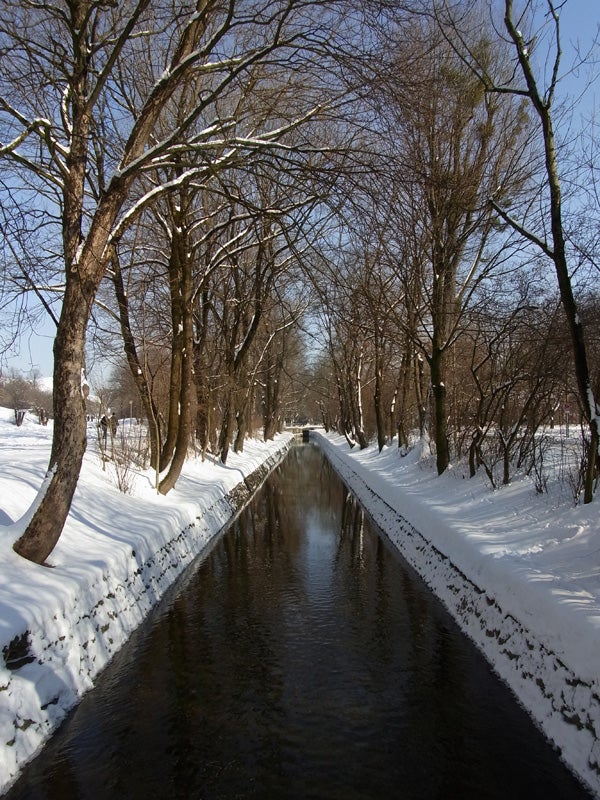 Snowy landscape with trees along a narrow river.