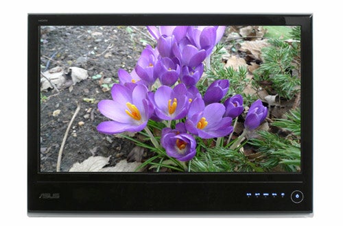 Asus MS236H monitor displaying vibrant purple flowers.
