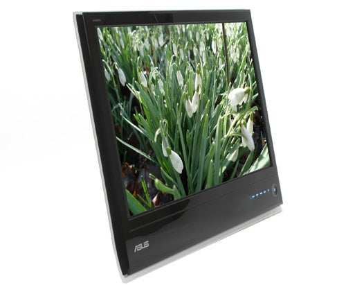 Asus MS236H monitor displaying vibrant flower image.