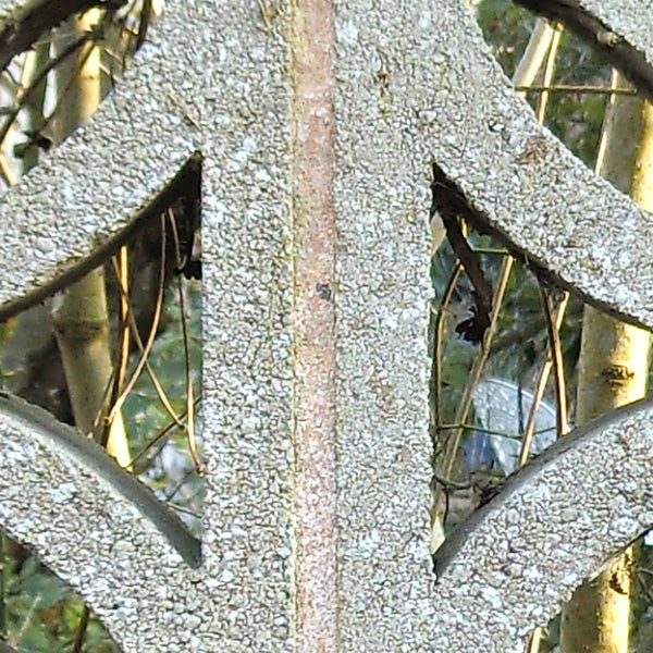 Close-up of textured metal with natural background.