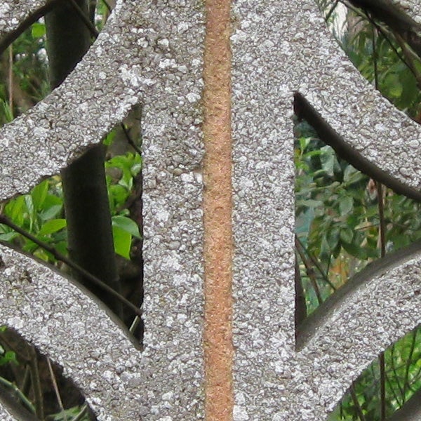 Close-up of textured metal with rust and lichen growth