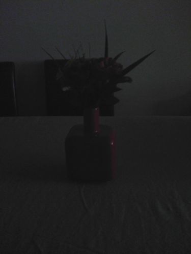 Poorly lit photograph of a vase with flowers on a table.