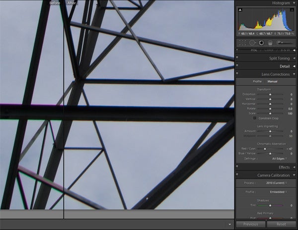Screenshot of Adobe Lightroom 3 editing interface with photo.