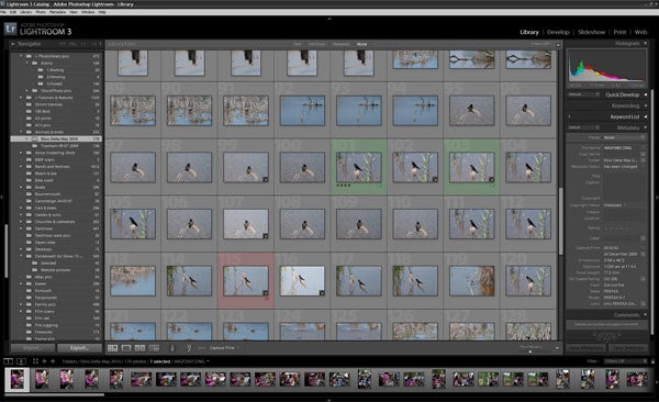 Screenshot of Adobe Lightroom 3 software interface with image thumbnails.