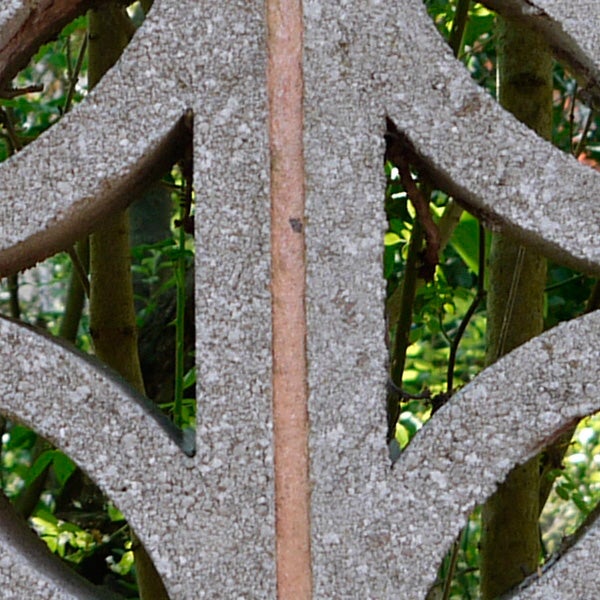 Close-up photo of a leafy background through a patterned fence.
