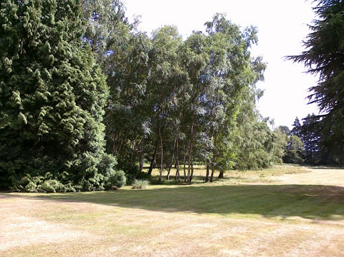 Scenic photo of a park with trees and grass.