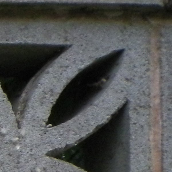Low-resolution close-up of leaves and concrete.