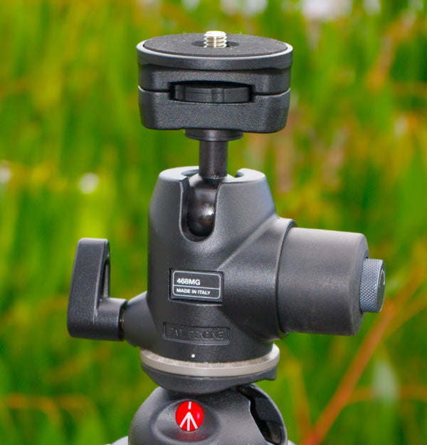 Manfrotto 468MG Hydrostatic Ball Head on tripod outdoors.