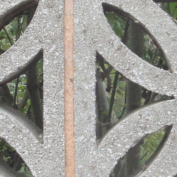 Close-up of intricate pattern with slight camera noise.