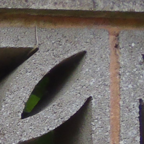 Close-up of leaf through a textured brick wall aperture.