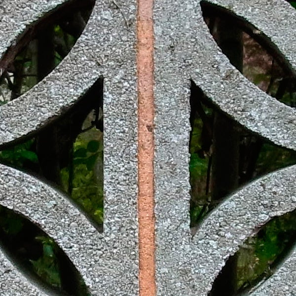 Close-up of intricate metal grate design with mossy background.