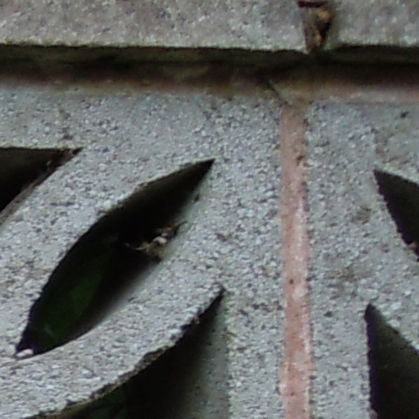 Close-up of leaf through patterned concrete opening, low resolution.