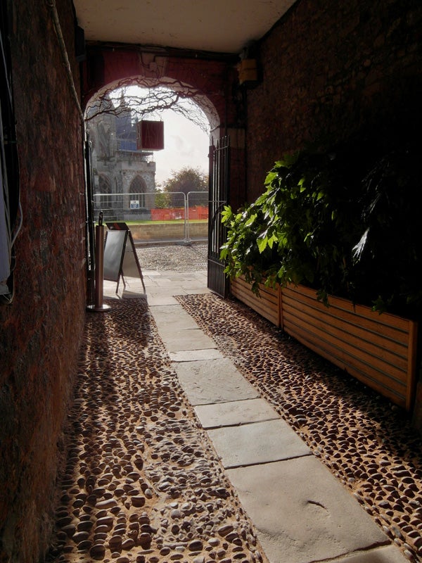 Cobbled alleyway with sunlight and leafy plants leading to archway