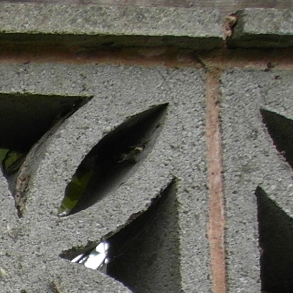 Close-up of a decorative concrete block wall with leaf patterns.