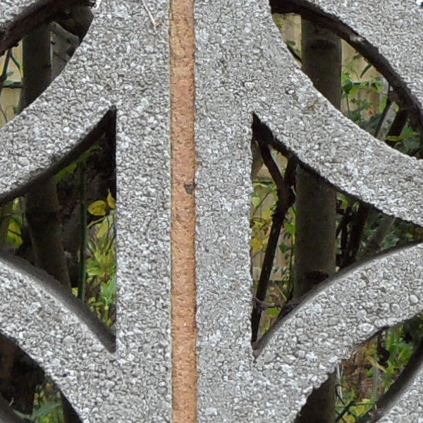 Close-up of a textured iron grate with vegetal background