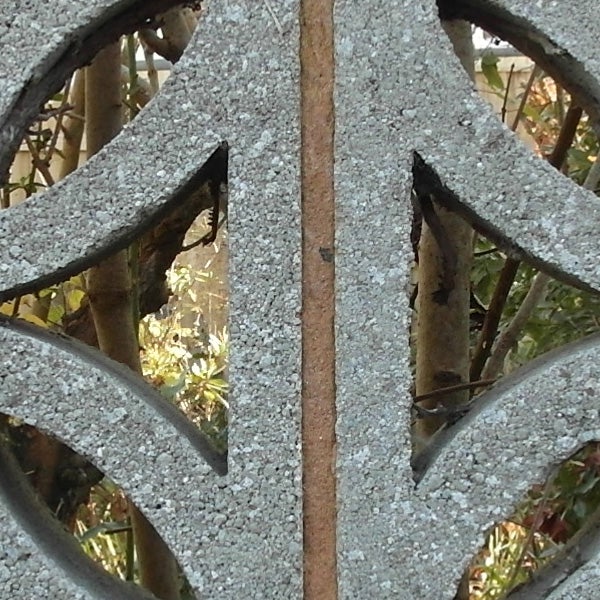 Close-up of an ornate metal grate with symmetrical design
