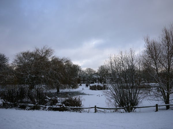 Snowy park landscape captured with Panasonic Lumix DMC-GF2.