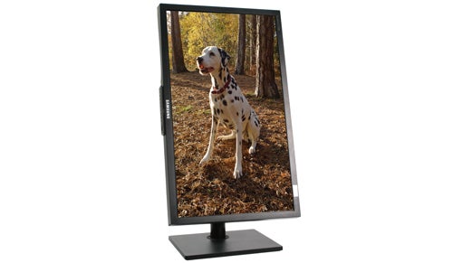 Samsung SyncMaster F2380 monitor displaying a Dalmatian dog.