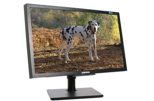 Samsung SyncMaster F2380 monitor displaying a dog on-screen.