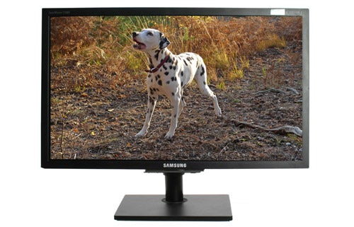Samsung SyncMaster F2380 monitor displaying a dog image.