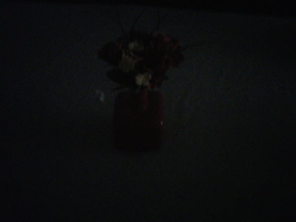 Underexposed image of a vase with flowers.