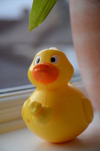 Yellow rubber duck on a windowsill, close-up photograph.
