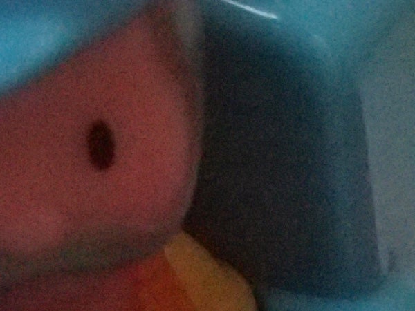 Close-up of a plush toy's face with a background.