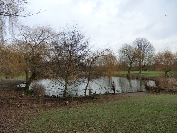 Outdoor scene with pond and trees photographed by Casio camera.