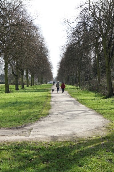 Photo of a tree-lined path with people walking, taken with Sony Alpha NEX-3.