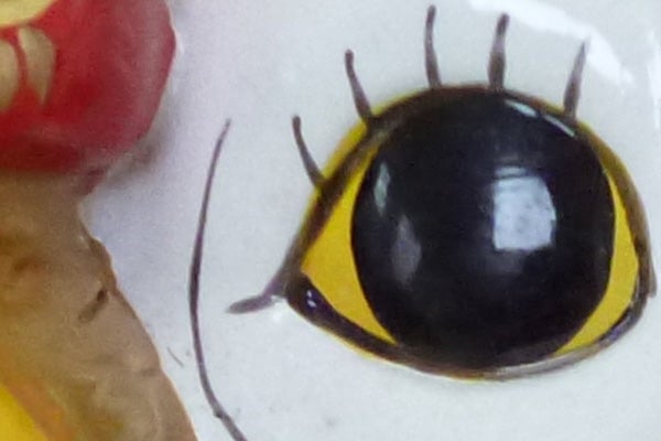 Close-up photo of an insect's eye.
