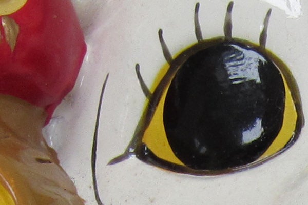 Close-up of an insect's eye and antennae.