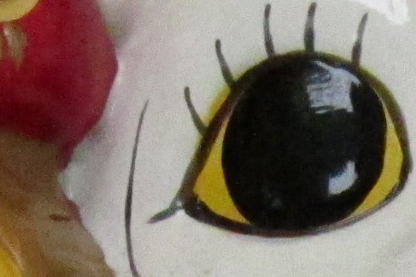 Close-up of a printed insect eye illustration.