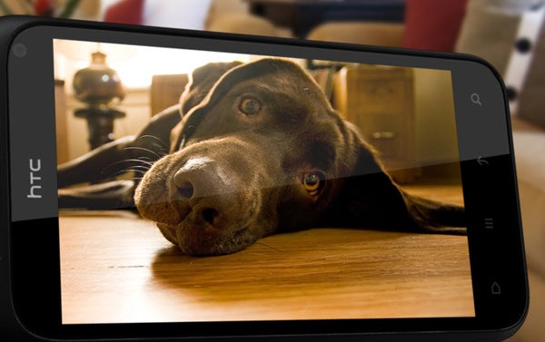 HTC Incredible S smartphone displaying a dog on screen.