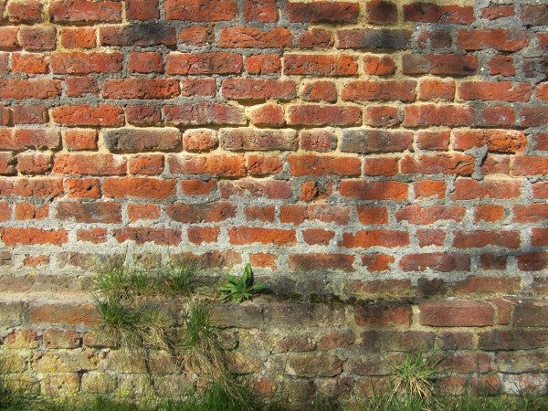 Brick wall texture captured with Canon IXUS 115 HS.