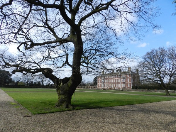 Landscape photo featuring a tree and historic building.