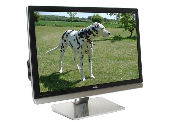 BenQ EW2430 monitor displaying an image of a dog.