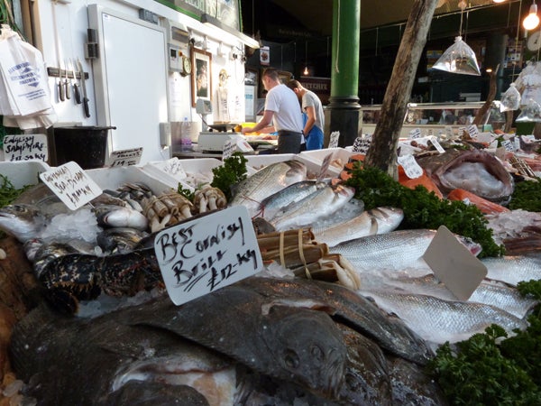 Photo taken with Panasonic Lumix FZ48 showcasing a fish market display.