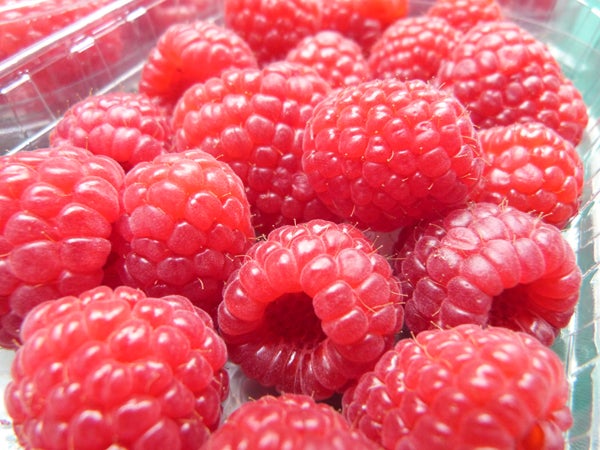 Close-up of fresh raspberries in a container.