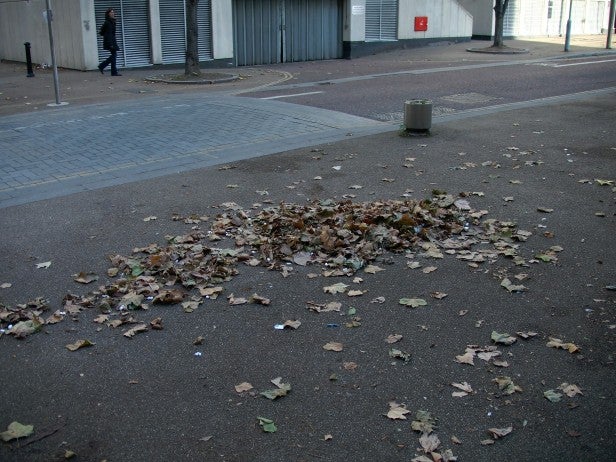 Street view of fallen leaves and a walking pedestrian.Photo of urban landscape with clear blue sky captured by JVC GC-PX10.Close-up photo of dry autumn leaves on the ground.