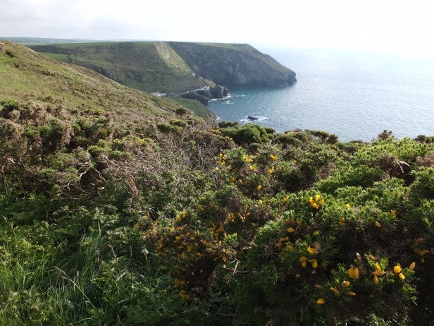 Coastal landscape with cliffs and sea, shot with Fujifilm FinePix F770EXR.